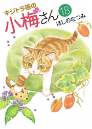 キジトラ猫の小梅さん raw 第01-07巻 [Kijitoraneko no Komesan vol 01-07]