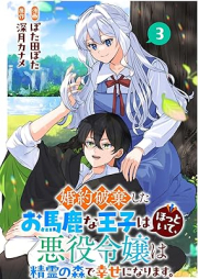 婚約破棄したお馬鹿な王子はほっといて、悪役令嬢は精霊の森で幸せになります。 raw 第01-03巻