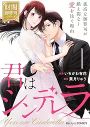 君はシンデレラ～孤高な御曹司が絶え間なく愛を注ぐ理由～ raw 第01巻 [Kimi Ha Cinderella Kokona Onzoshi Ga Taema Naku Ai Wo Sosogu Riyu vol 01]