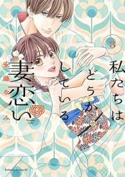 私たちはどうかしている 妻恋い raw 第01-03巻 [Watashitachi wa Dokashiteiru Tsumakoi vol 01-03]