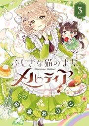 ふしぎな猫のまち メルティア raw 第01-04巻 [Fushigina Neko No machi Meruteia vol 01-04]