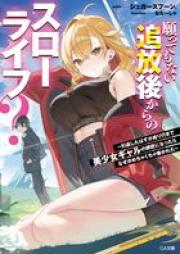 [Novel] 願ってもない追放後からのスローライフ？ raw 第01巻 [Negattemo nai tsuihogo kara no suro raifu vol 01]