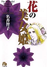 花の美女姫 文庫版 raw 第01-03巻 [Hana no Bijohime Bunko vol 01-03]
