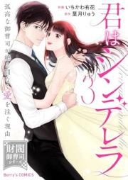 君はシンデレラ～孤高な御曹司が絶え間なく愛を注ぐ理由～ raw 第01-03巻 [Kimi Ha Cinderella Kokona Onzoshi Ga Taema Naku Ai Wo Sosogu Riyu vol 01-03]