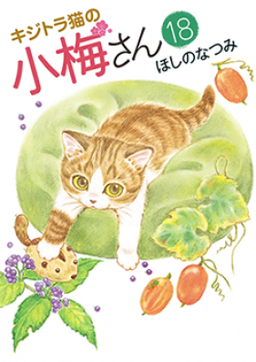 キジトラ猫の小梅さん 第01-07巻 [Kijitoraneko no Komesan vol 01-07]