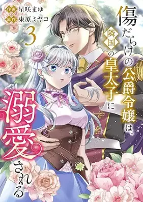 傷だらけの公爵令嬢は、隣国の皇太子に溺愛される 第01-03巻