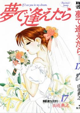 夢で逢えたら 第01-17巻 [Yume de Aetara vol 01-17]