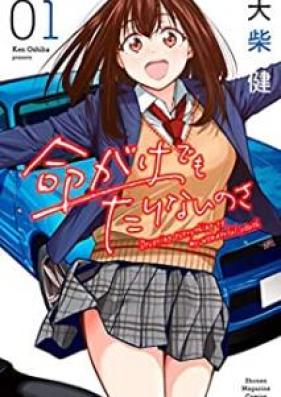 命がけでもたりないのさ 第01-02巻 [Inochigake Demo Tarinainosa vol 01-02]