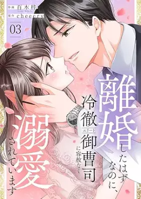 離婚したはずなのに、冷徹エリート御曹司に容赦なく溺愛されています 第01-03巻