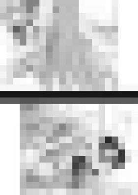 [Novel] 傾世のカフカ [Keisei no Kafka]