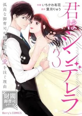 君はシンデレラ～孤高な御曹司が絶え間なく愛を注ぐ理由～ 第01-03巻 [Kimi Ha Cinderella Kokona Onzoshi Ga Taema Naku Ai Wo Sosogu Riyu vol 01-03]