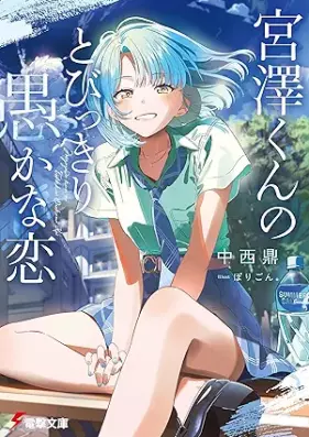 [Novel] 宮澤くんのとびっきり愚かな恋 [Miyazawa kun no tobikkiri oroka na koi]